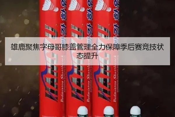 雄鹿聚焦字母哥膝盖管理全力保障季后赛竞技状态提升