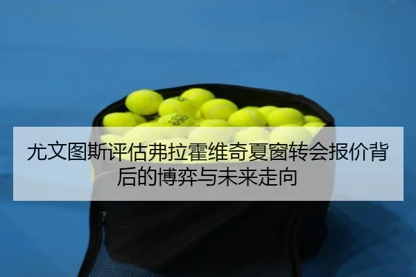 尤文图斯评估弗拉霍维奇夏窗转会报价背后的博弈与未来走向